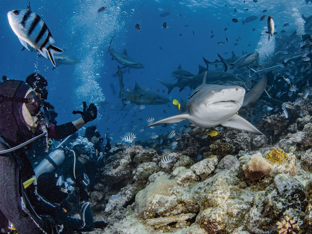 依照旅遊目的
