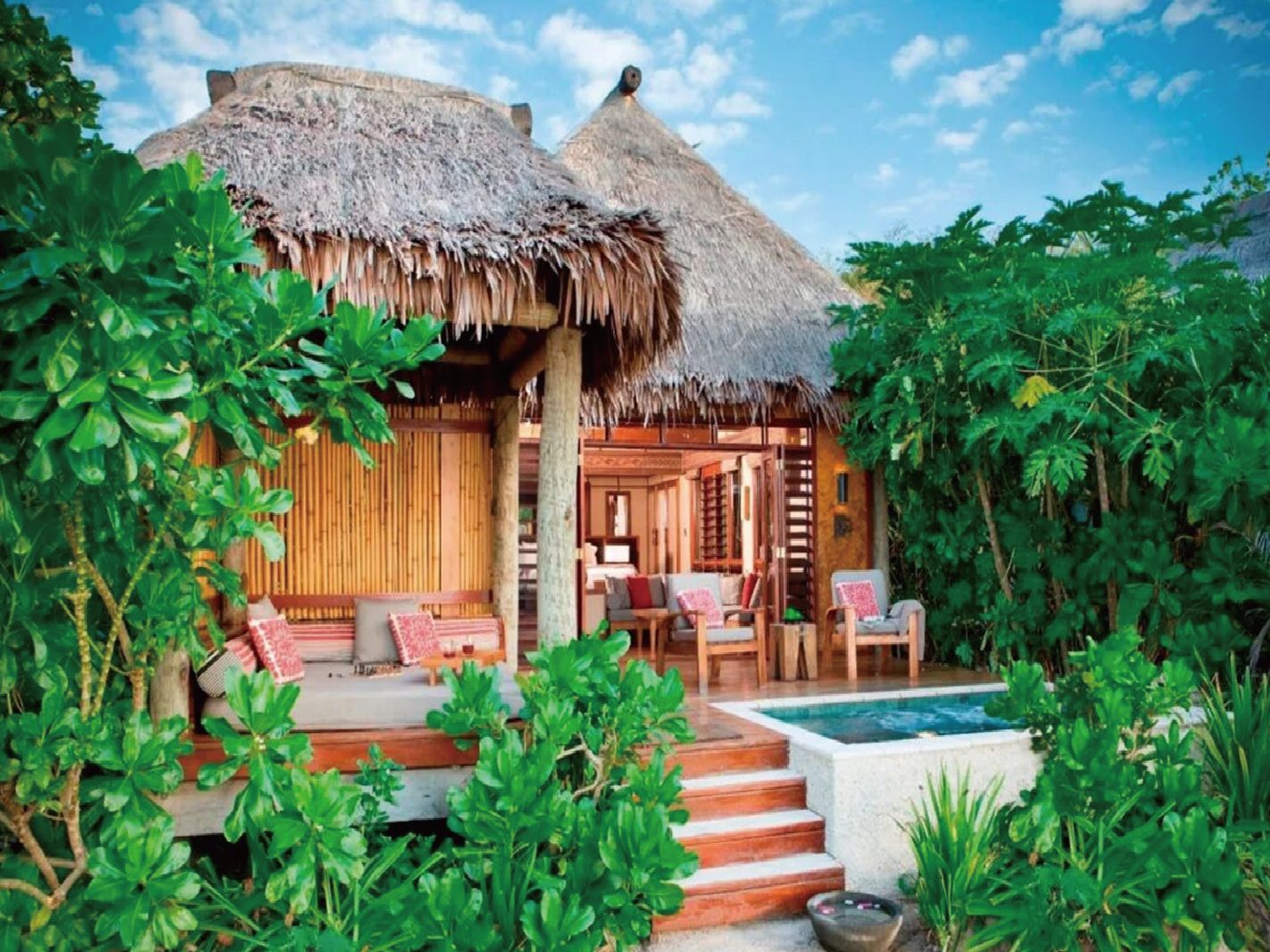 Deluxe Beachfront Bure ( 豪華海濱草屋-帶泳池 )
