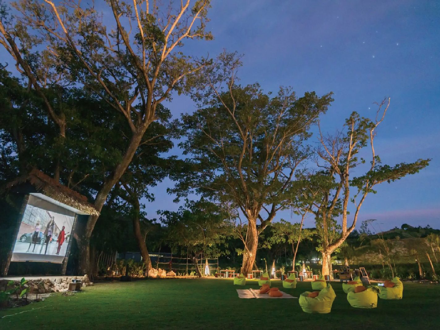 Cinema Under The Stars (星空影院)