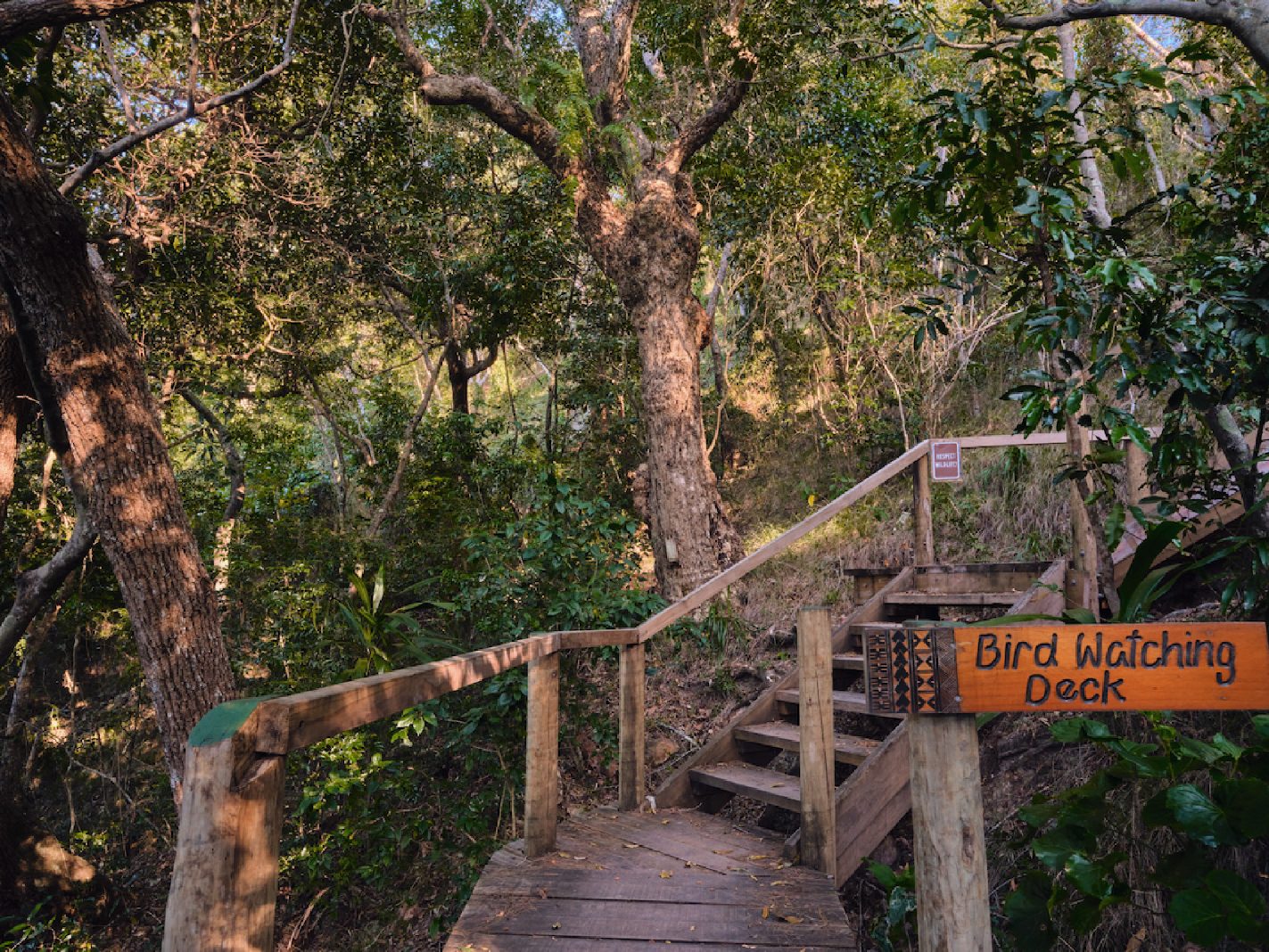 Walking Trails(行人徒步區)